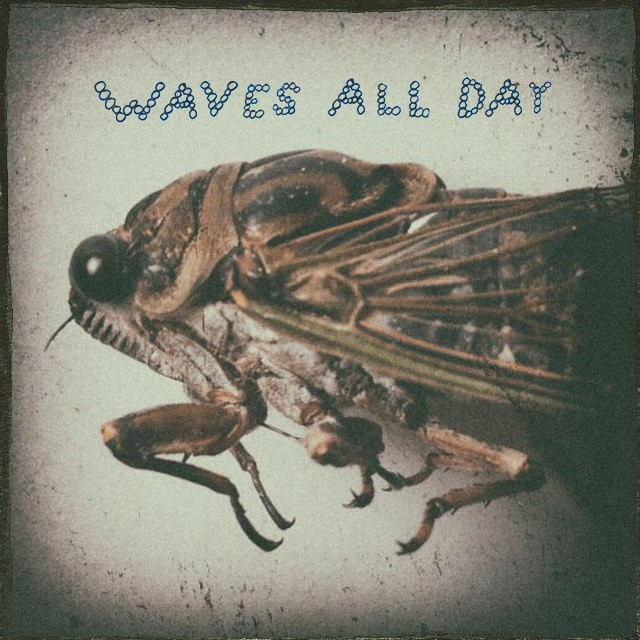 WAVES ALL DAY